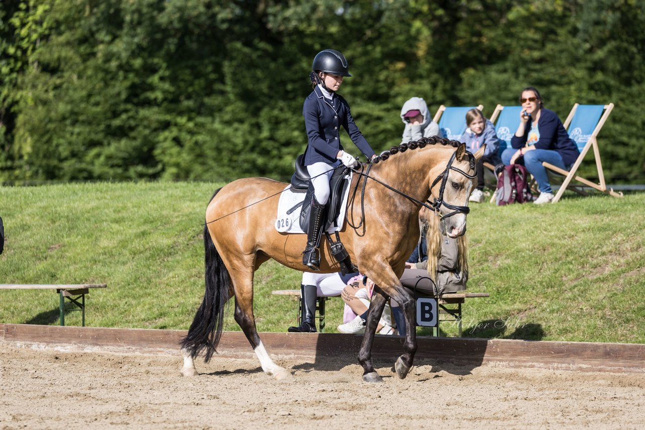 Bild 507 - Pony Akademie Turnier